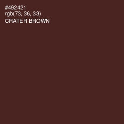 #492421 - Crater Brown Color Image